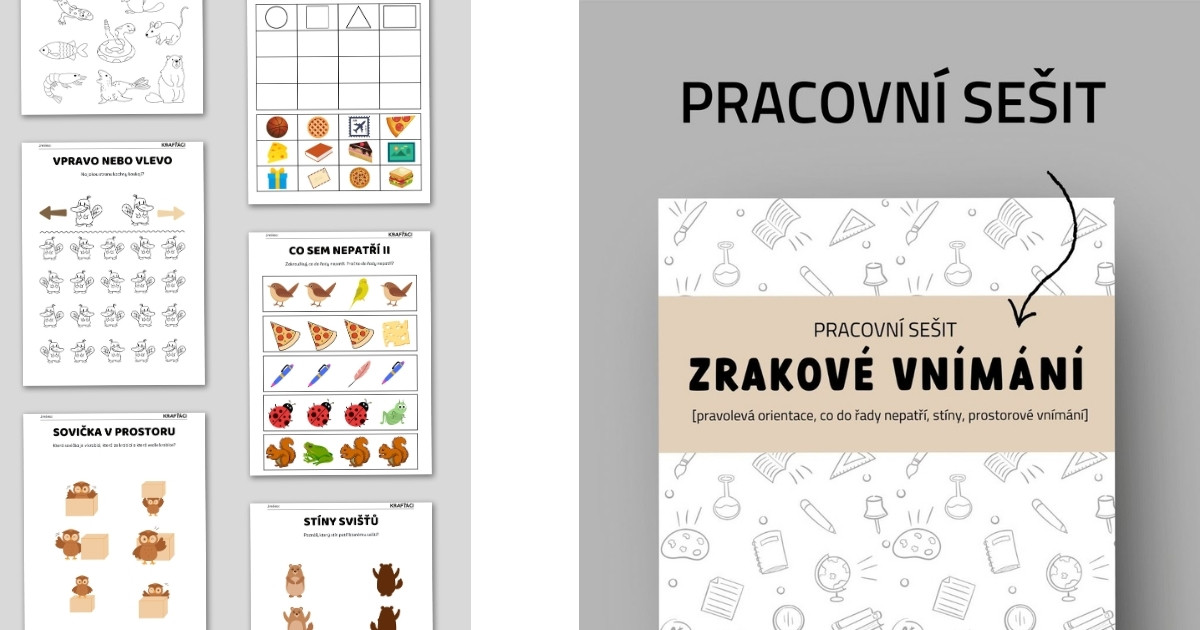 pracovni sesit zrakove vnimani